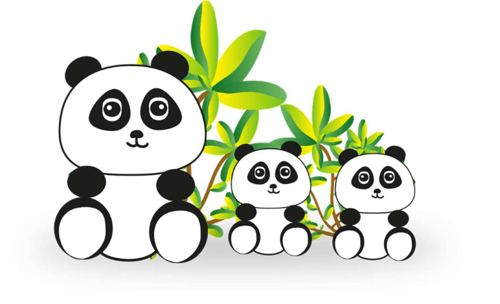 PANDA – Pienten KESÄLEIRI - Lue lisää